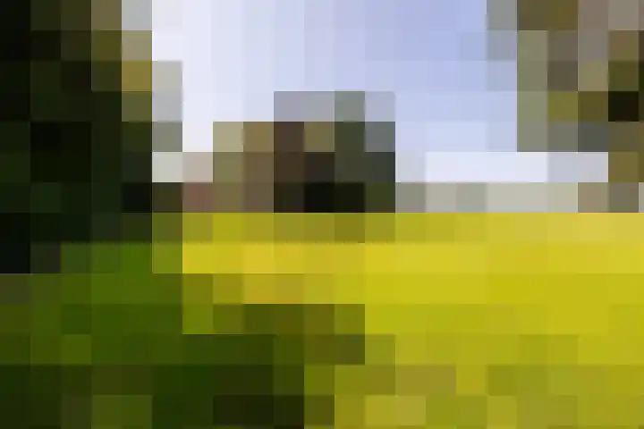 Etersheim 11 Oosthuizen thumbnail 40