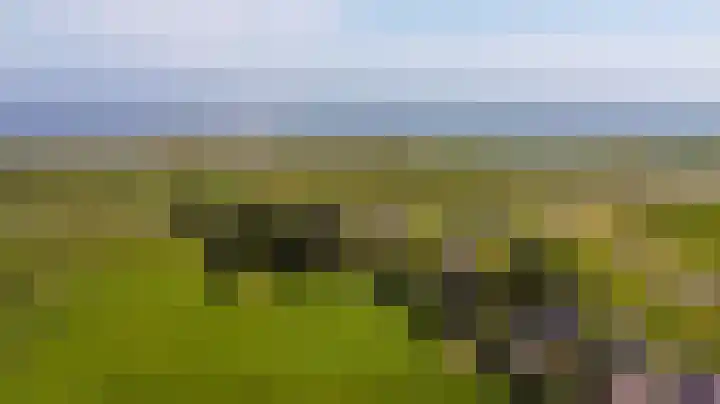 Etersheim 11 Oosthuizen thumbnail 50
