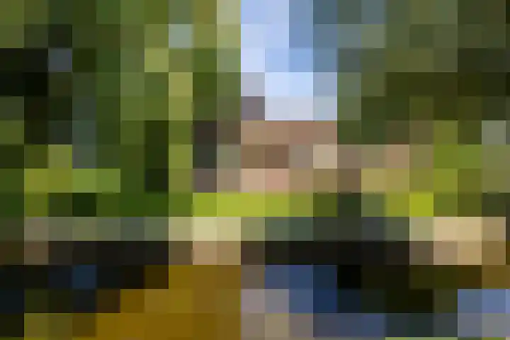Etersheim 11 Oosthuizen thumbnail 7