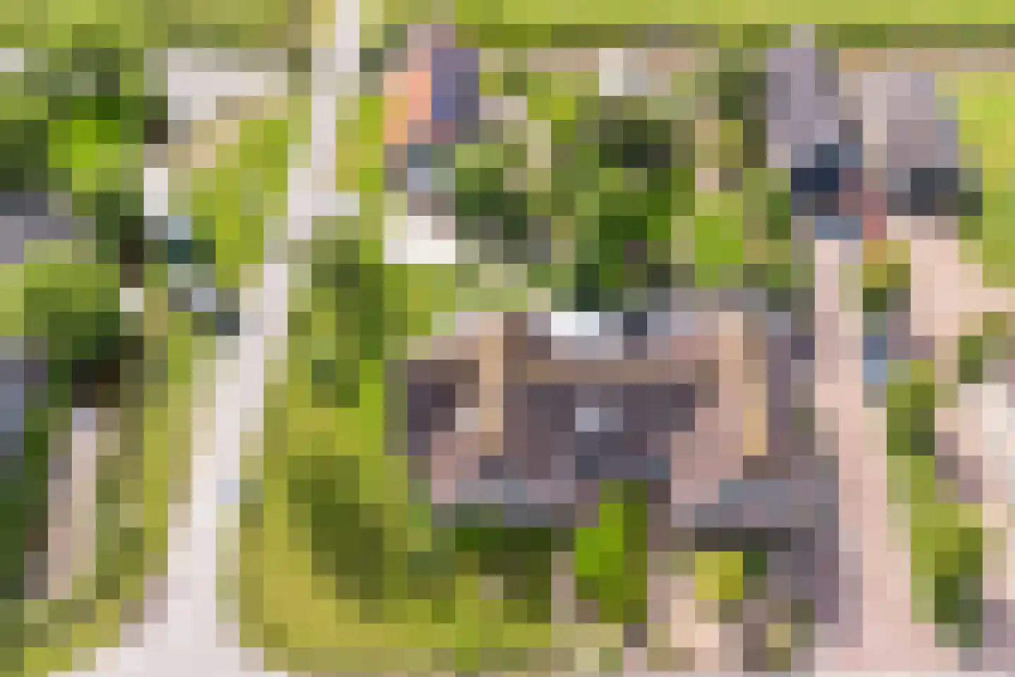 Etersheim 7 Oosthuizen thumbnail 4