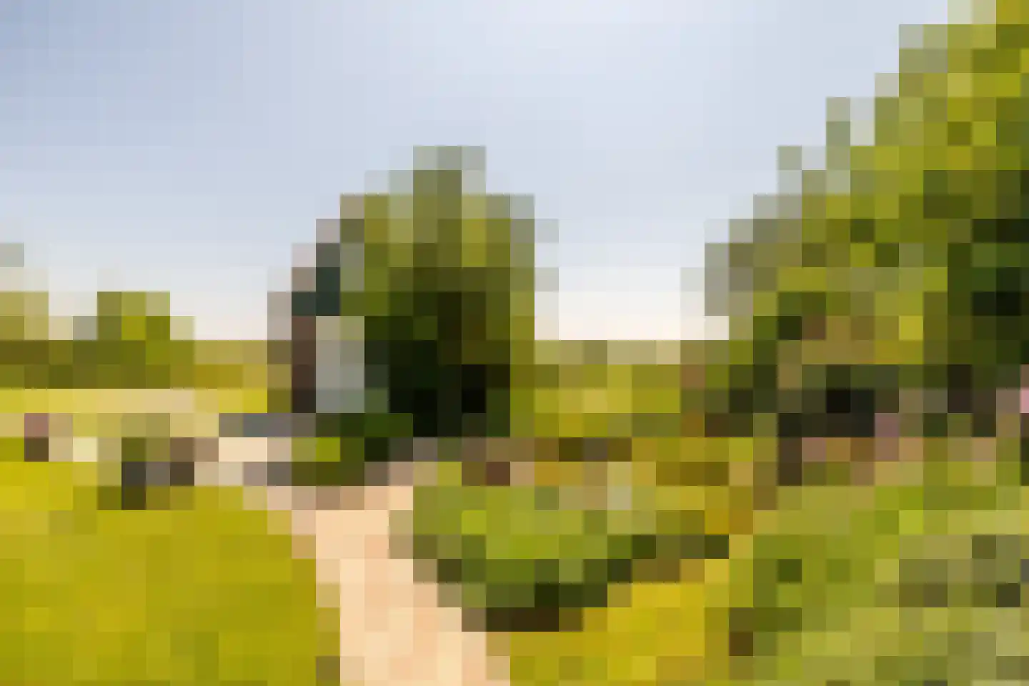 Etersheim 7 Oosthuizen thumbnail 46