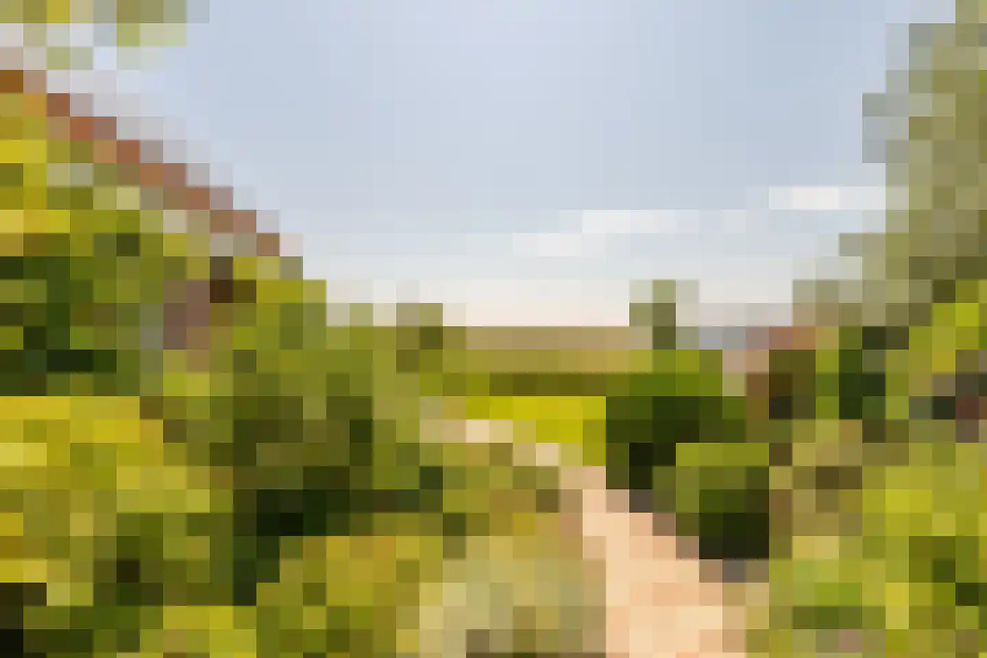 Etersheim 7 Oosthuizen thumbnail 47
