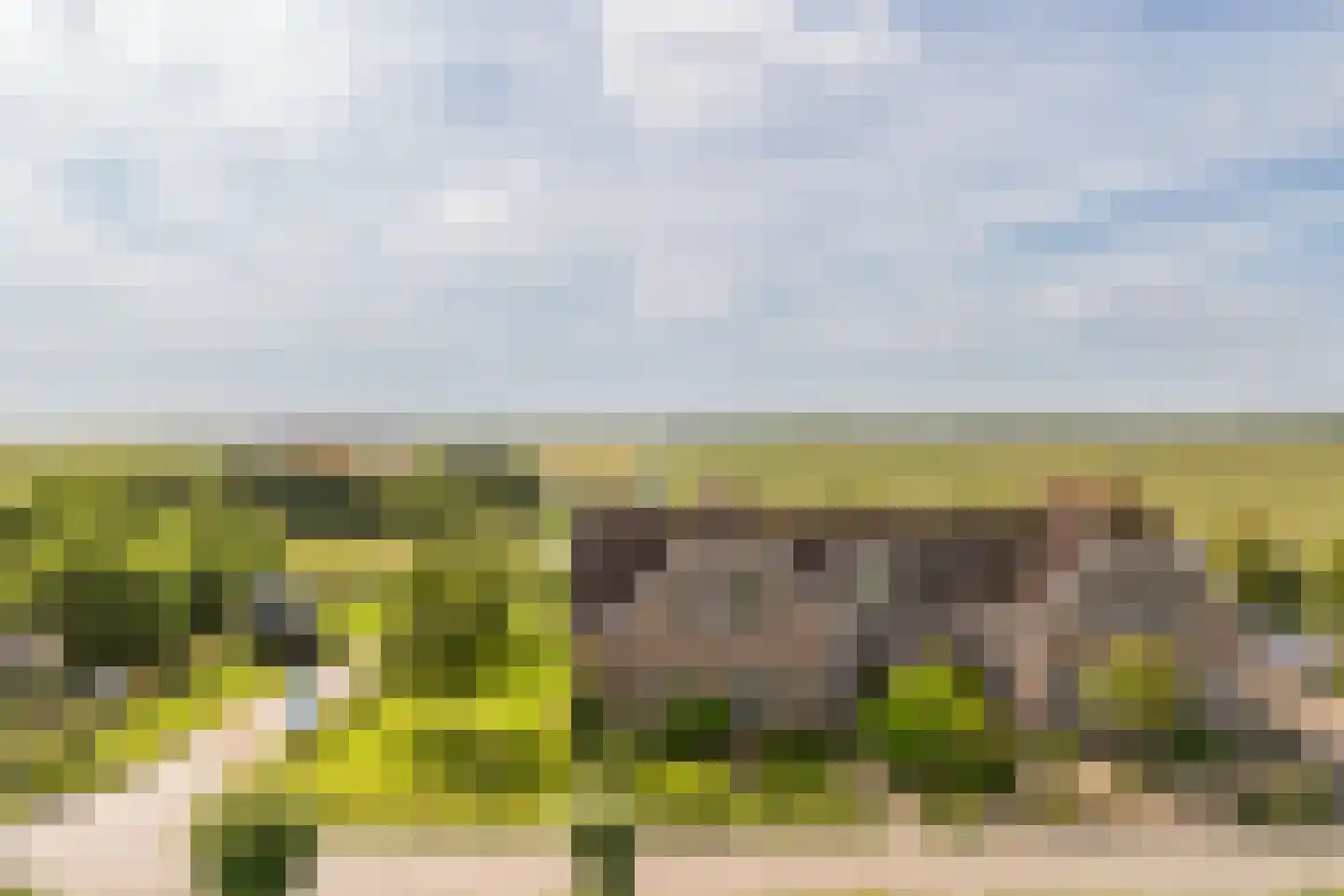 Etersheim 7 Oosthuizen thumbnail 5