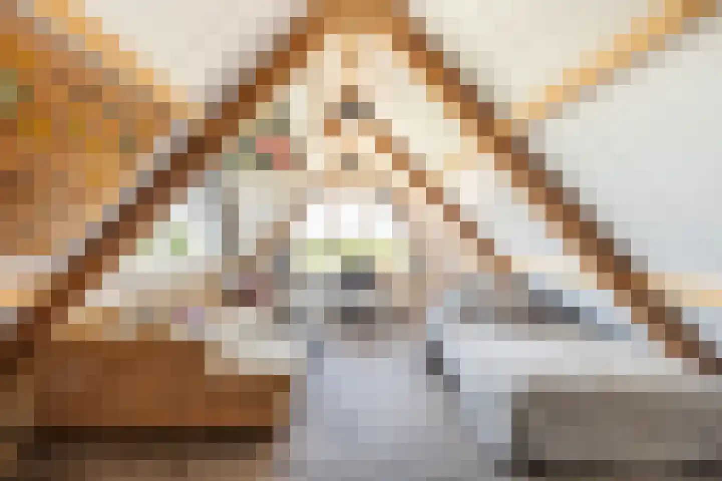 Etersheim 7 Oosthuizen thumbnail 52