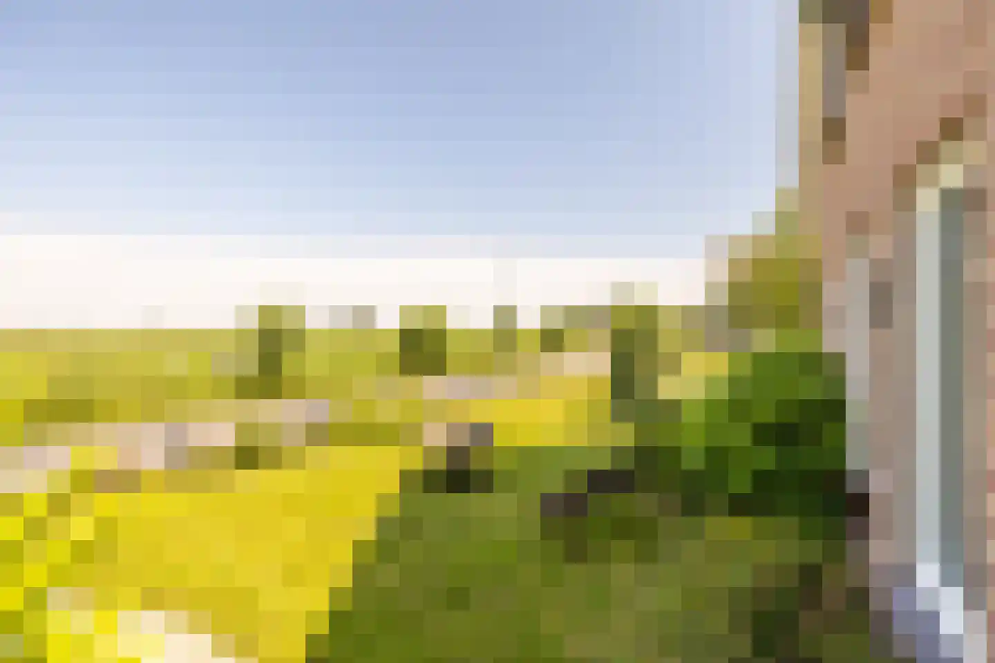 Etersheim 7 Oosthuizen thumbnail 56
