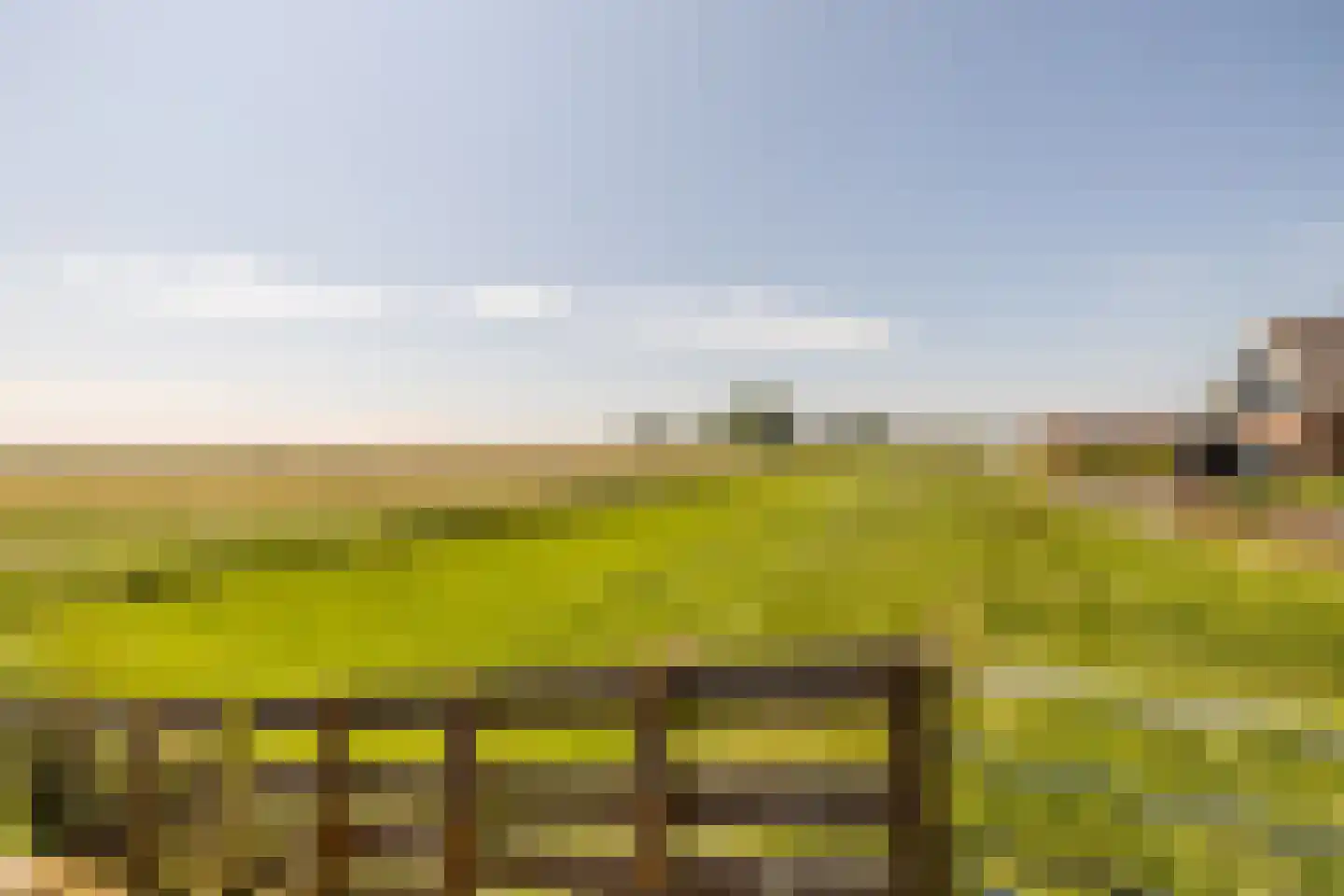 Etersheim 7 Oosthuizen thumbnail 62