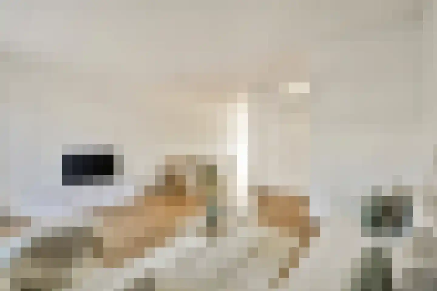 Ethekwini 22 Amsterdam thumbnail 8