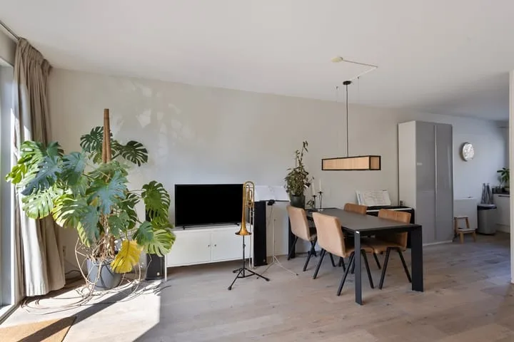Ethekwini 56 Amsterdam thumbnail 10