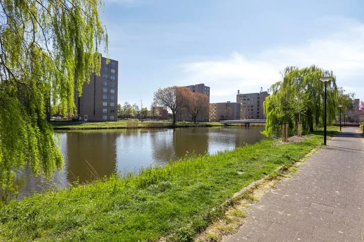 Ethekwini 56 Amsterdam thumbnail 38