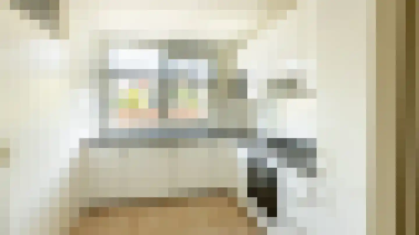 Etienne de Bouterstraat 39 Rotterdam thumbnail 12