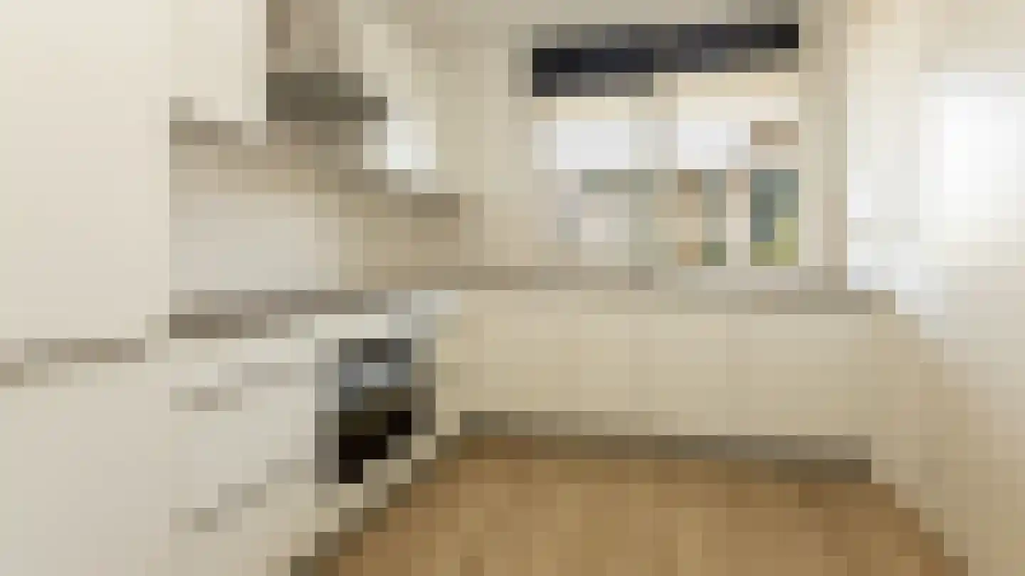Etienne de Bouterstraat 51 Rotterdam thumbnail 16