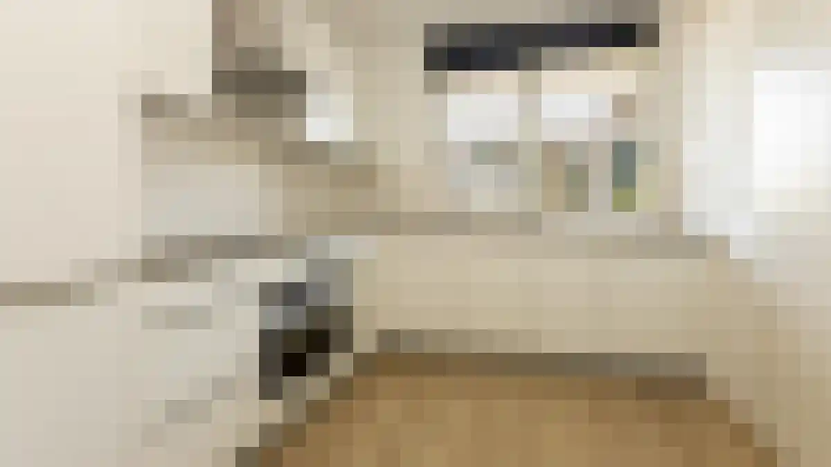 Etienne de Bouterstraat 51 Rotterdam thumbnail 4