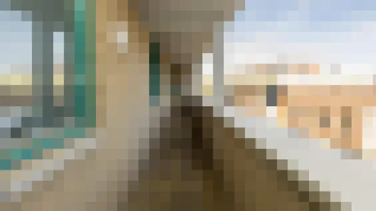 Etienne de Bouterstraat 51 Rotterdam thumbnail 5