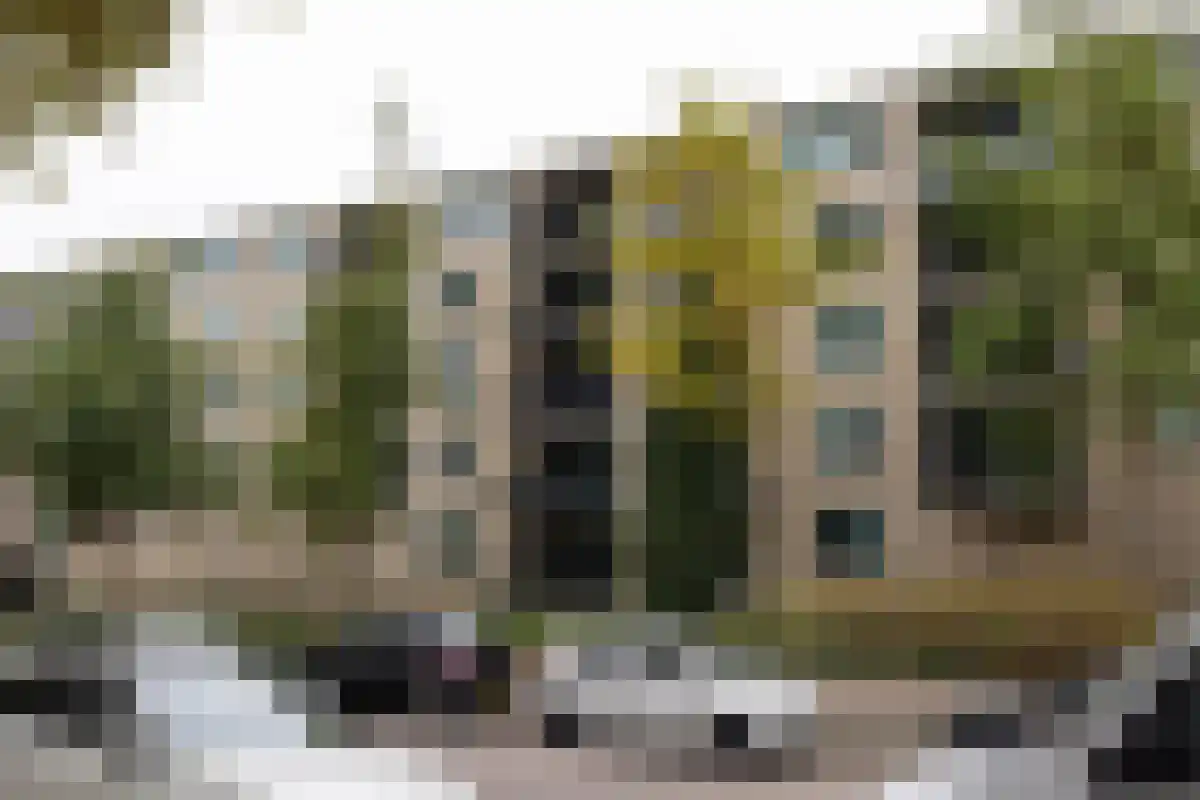 Etienne de Bouterstraat 70 Rotterdam thumbnail 4