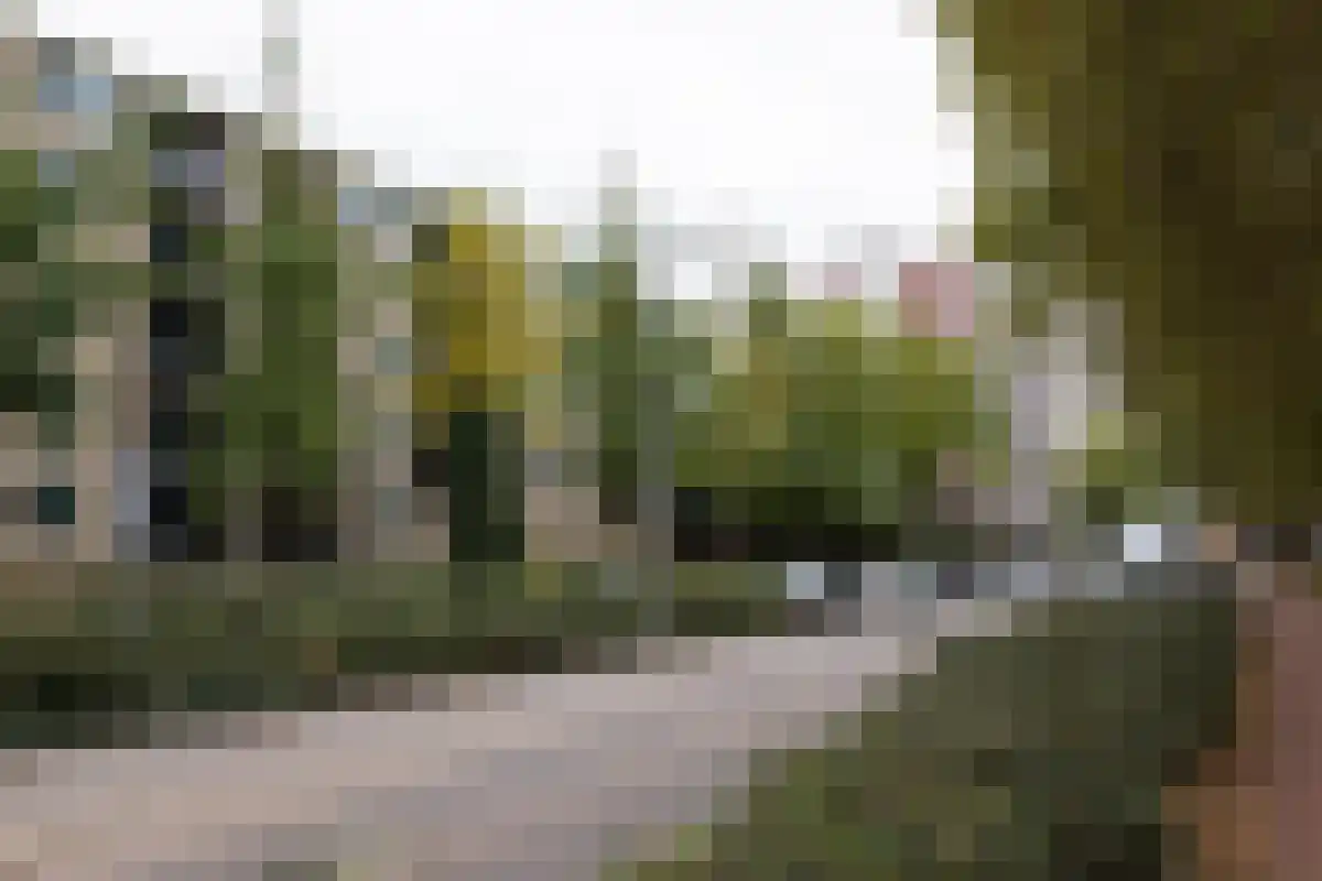 Etienne de Bouterstraat 70 Rotterdam thumbnail 6