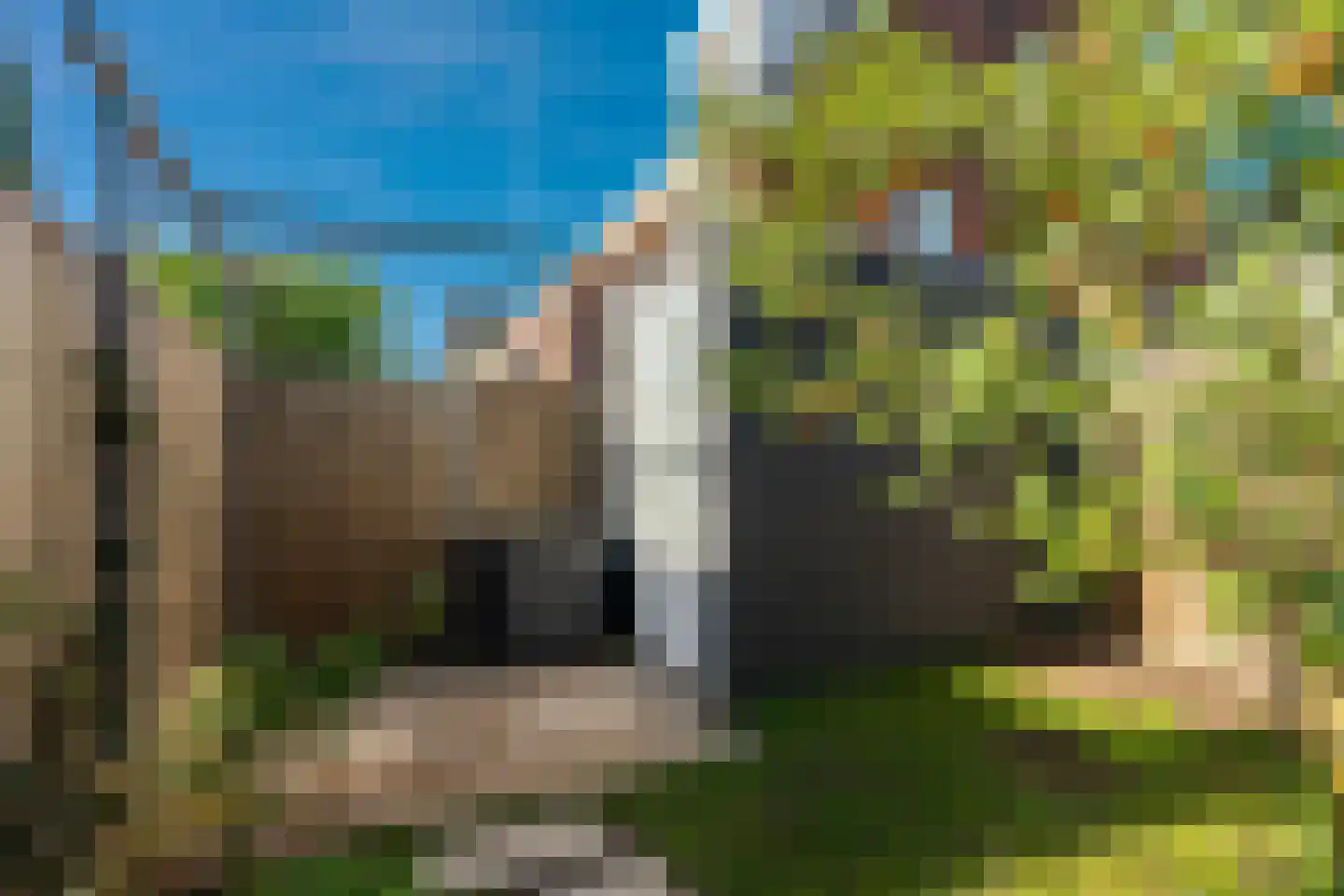 Etienne de Pinedaweg 18 Austerlitz thumbnail 36