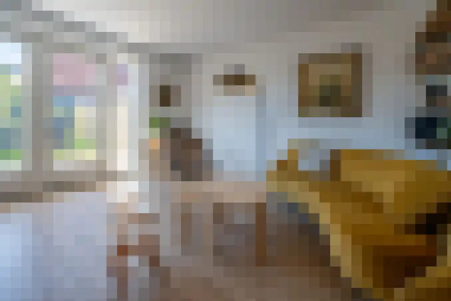 Etienne de Pinedaweg 18 Austerlitz thumbnail 7