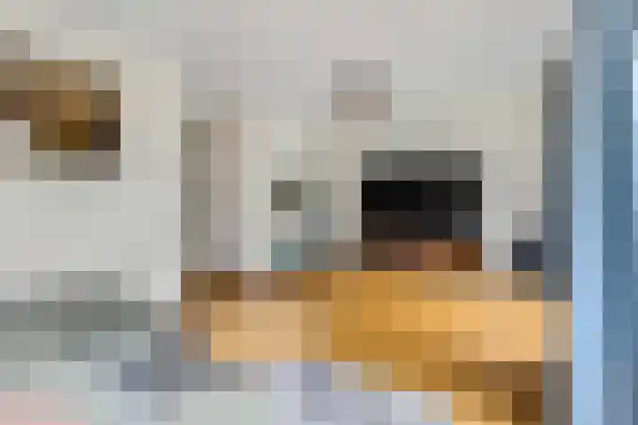 Etienne de Pinedaweg 24 Austerlitz thumbnail 24