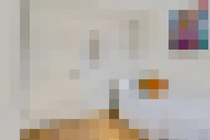 Etienne de Pinedaweg 24 Austerlitz thumbnail 30