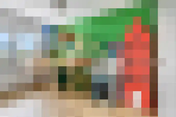 Etienne de Pinedaweg 24 Austerlitz thumbnail 32