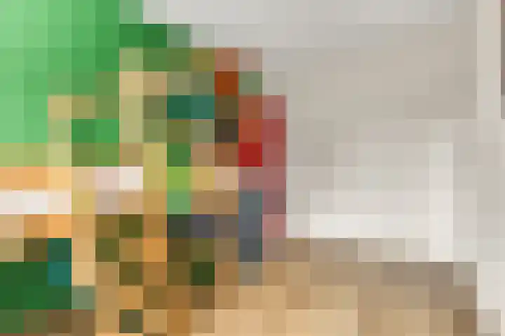 Etienne de Pinedaweg 24 Austerlitz thumbnail 34