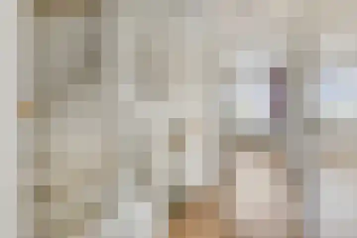 Etienne de Pinedaweg 24 Austerlitz thumbnail 43