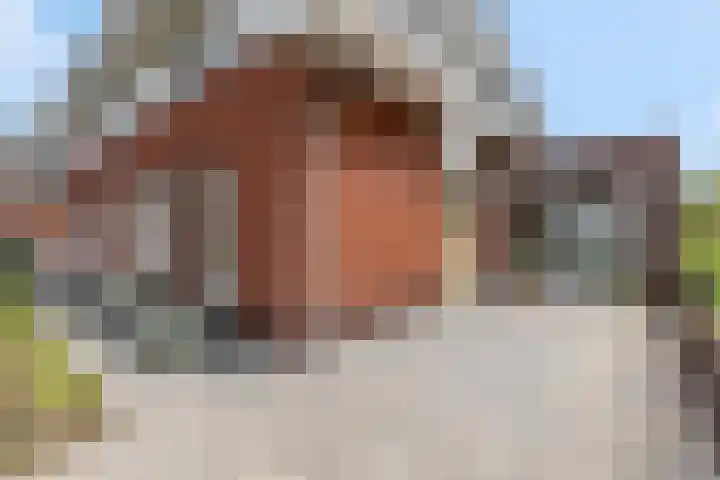 Etienne de Pinedaweg 24 Austerlitz thumbnail 5