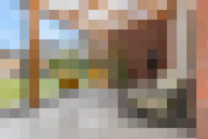 Etienne de Pinedaweg 24 Austerlitz thumbnail 50