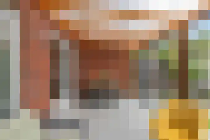 Etienne de Pinedaweg 24 Austerlitz thumbnail 51