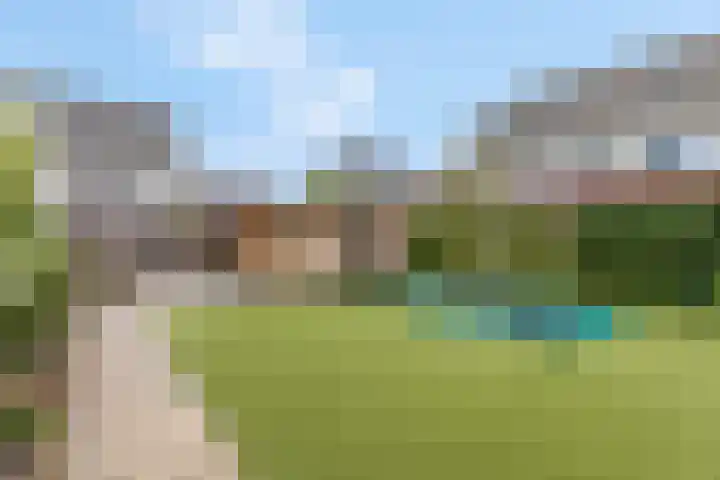 Etienne de Pinedaweg 24 Austerlitz thumbnail 52