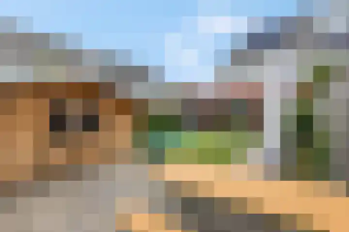Etienne de Pinedaweg 24 Austerlitz thumbnail 55