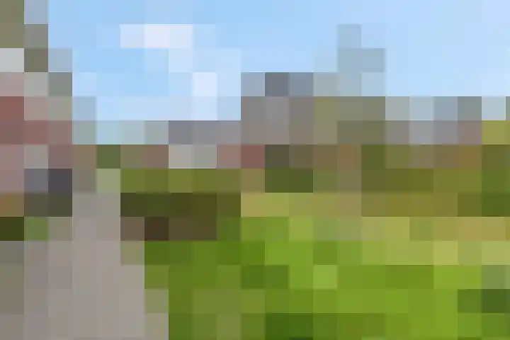 Etienne de Pinedaweg 24 Austerlitz thumbnail 59