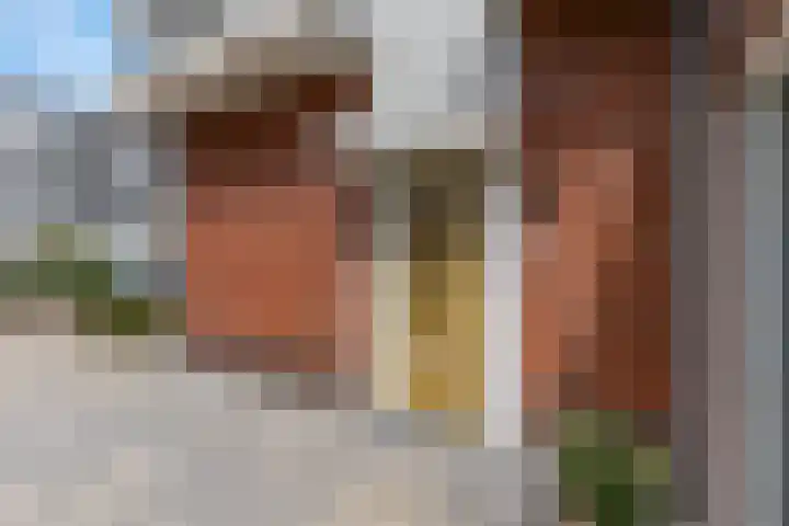 Etienne de Pinedaweg 24 Austerlitz thumbnail 6