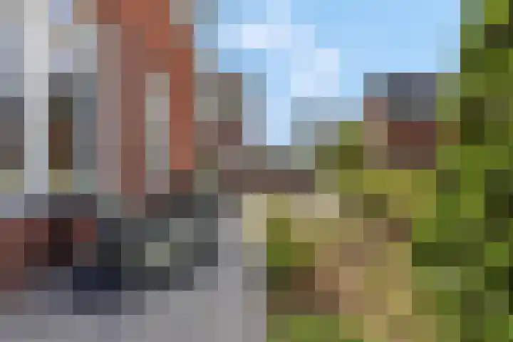 Etienne de Pinedaweg 24 Austerlitz thumbnail 9