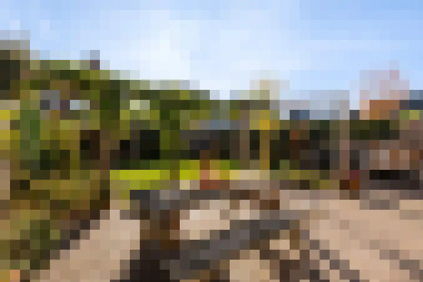 Etienne de Pinedaweg 32 Austerlitz thumbnail 24