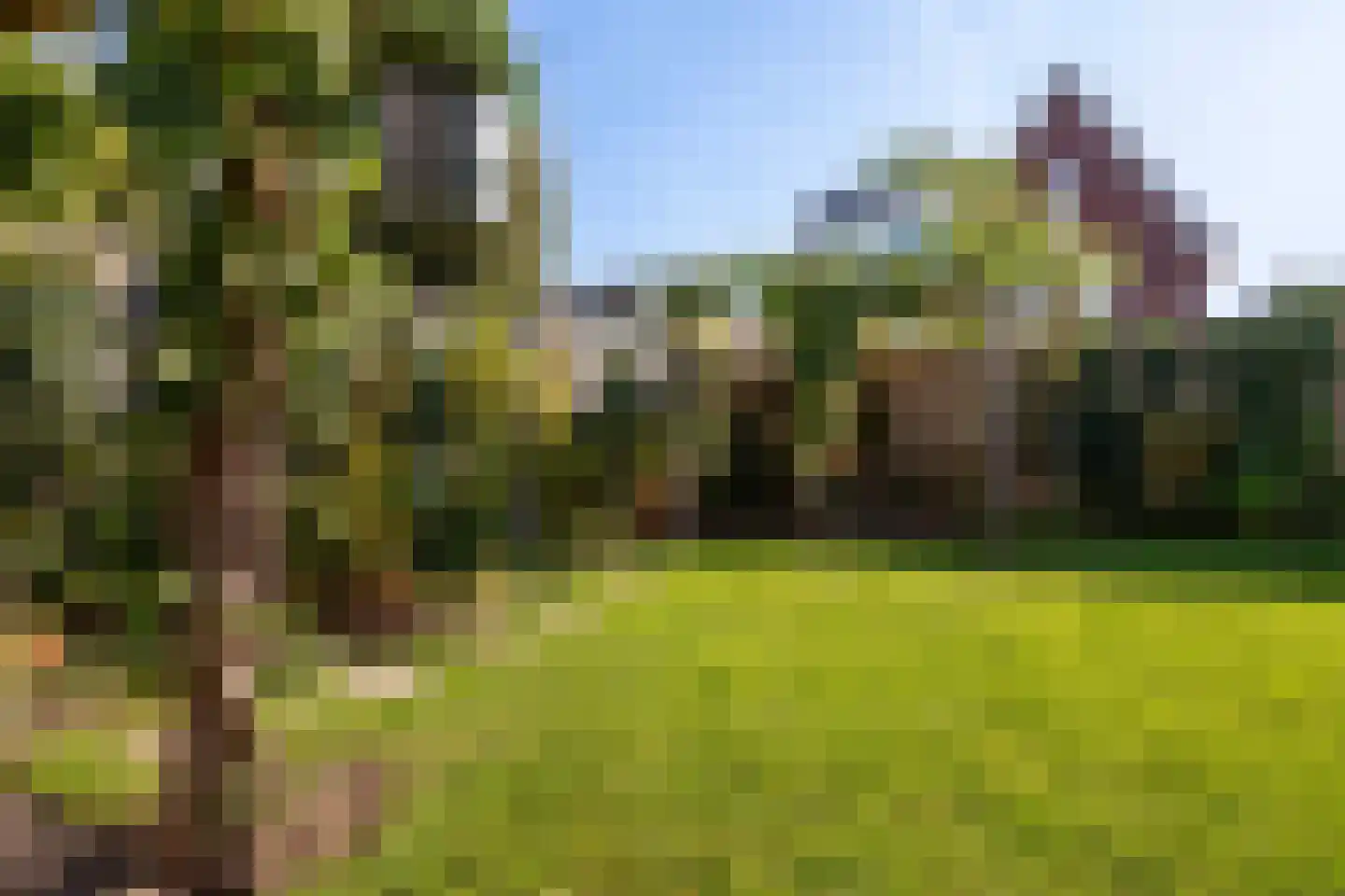 Etienne de Pinedaweg 32 Austerlitz thumbnail 25