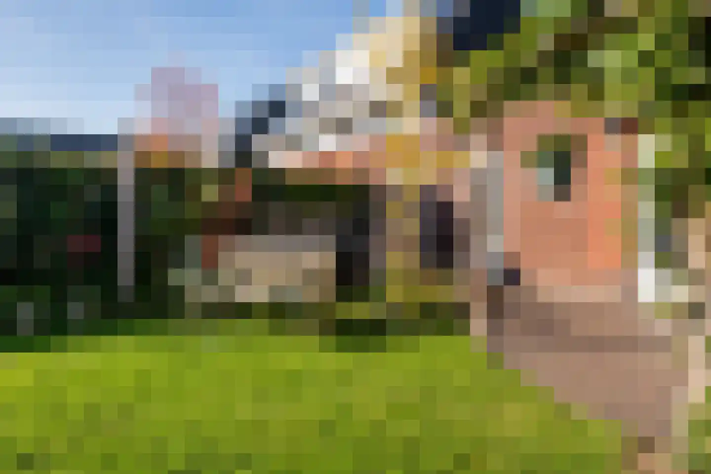 Etienne de Pinedaweg 32 Austerlitz thumbnail 26