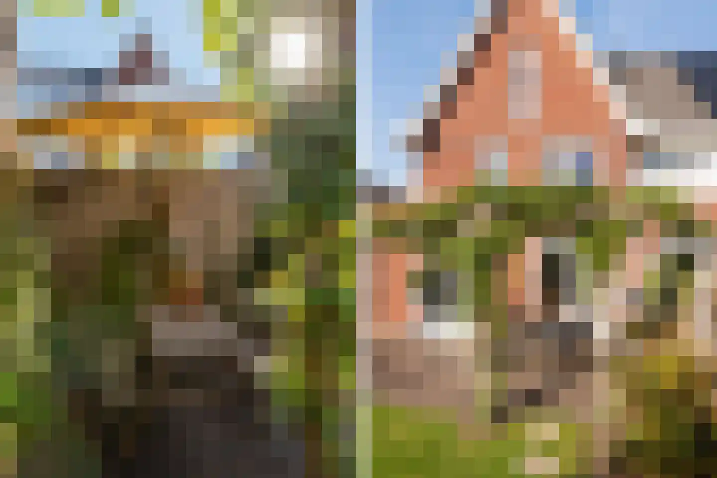 Etienne de Pinedaweg 32 Austerlitz thumbnail 27