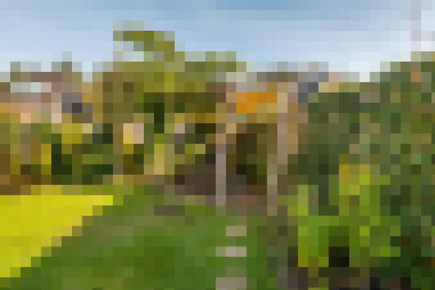 Etienne de Pinedaweg 32 Austerlitz thumbnail 28