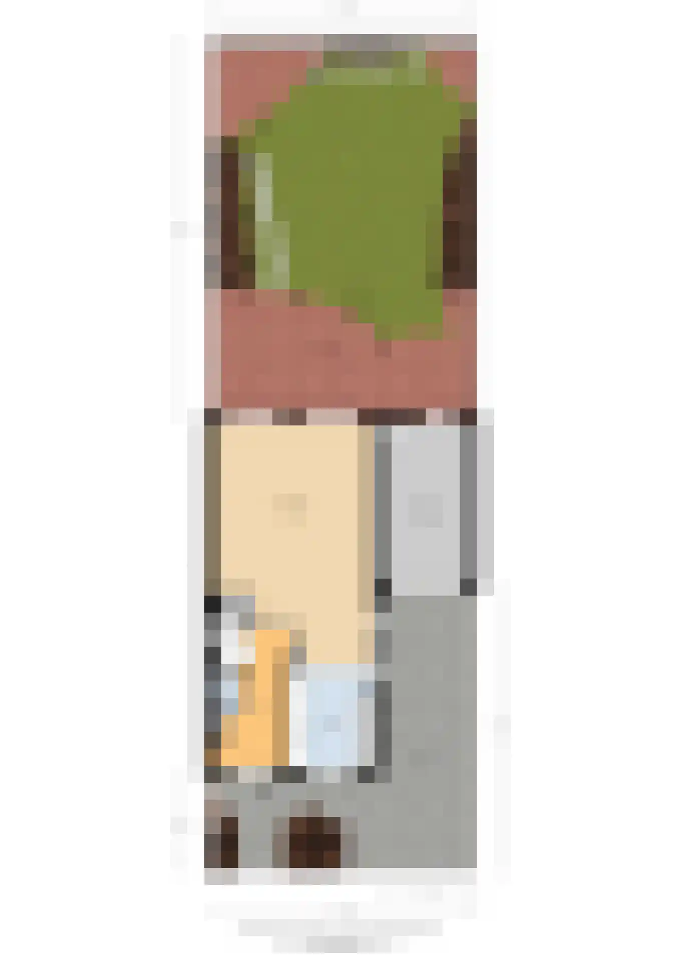 Etienne de Pinedaweg 32 Austerlitz thumbnail 62