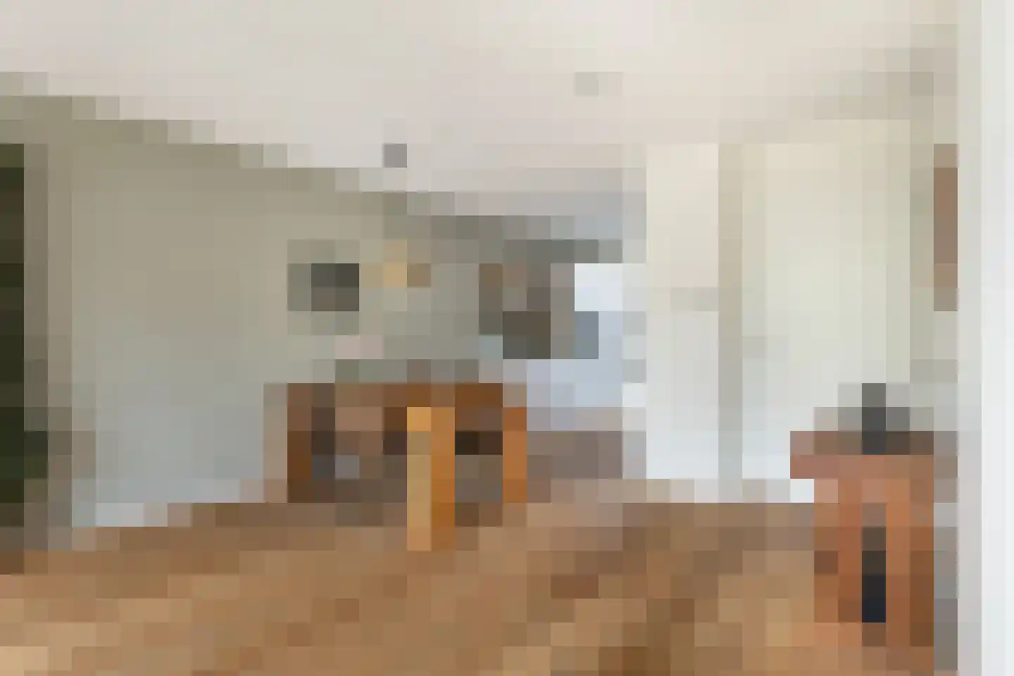 Etienne de Pinedaweg 6 Austerlitz thumbnail 13