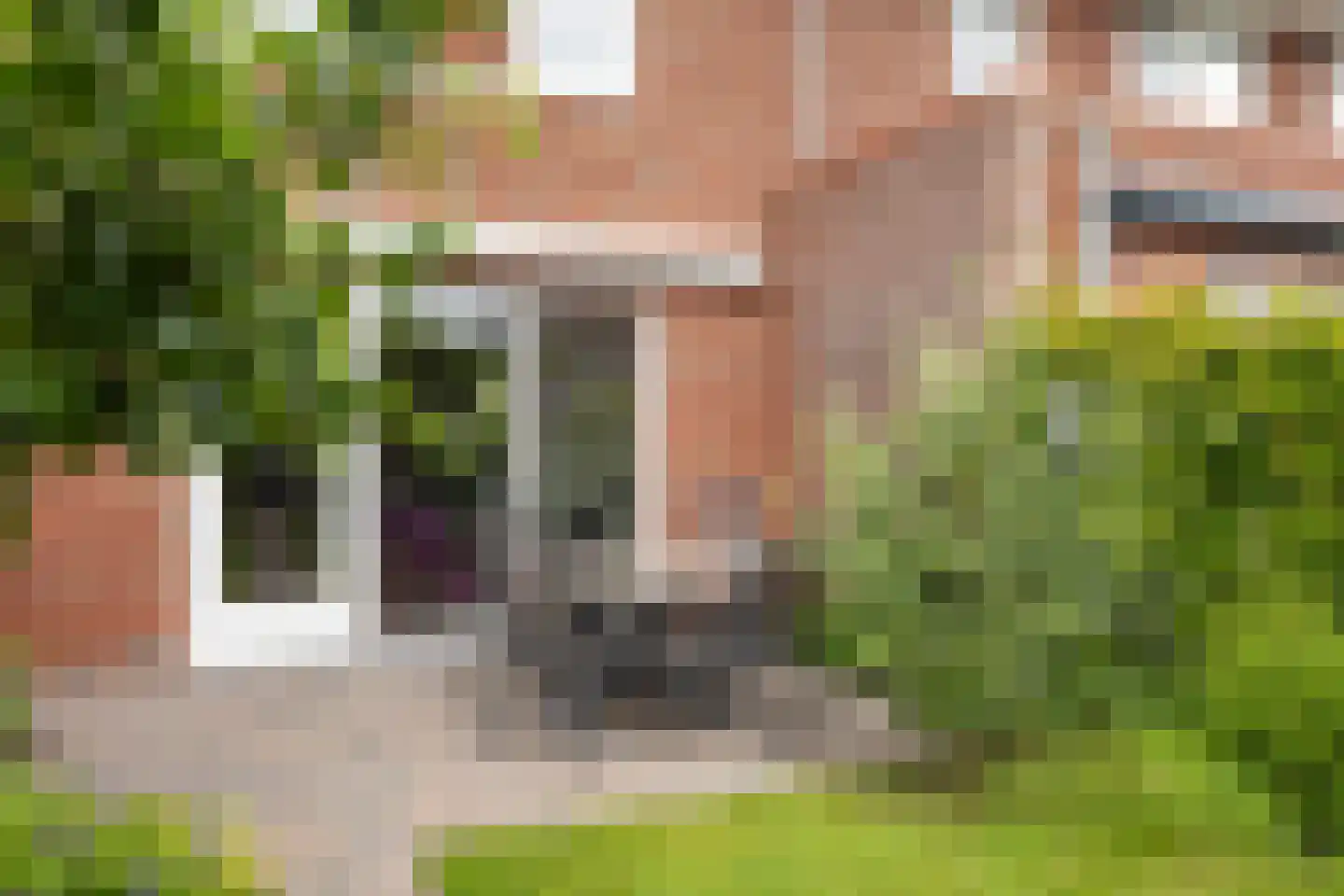 Etienne de Pinedaweg 6 Austerlitz thumbnail 28