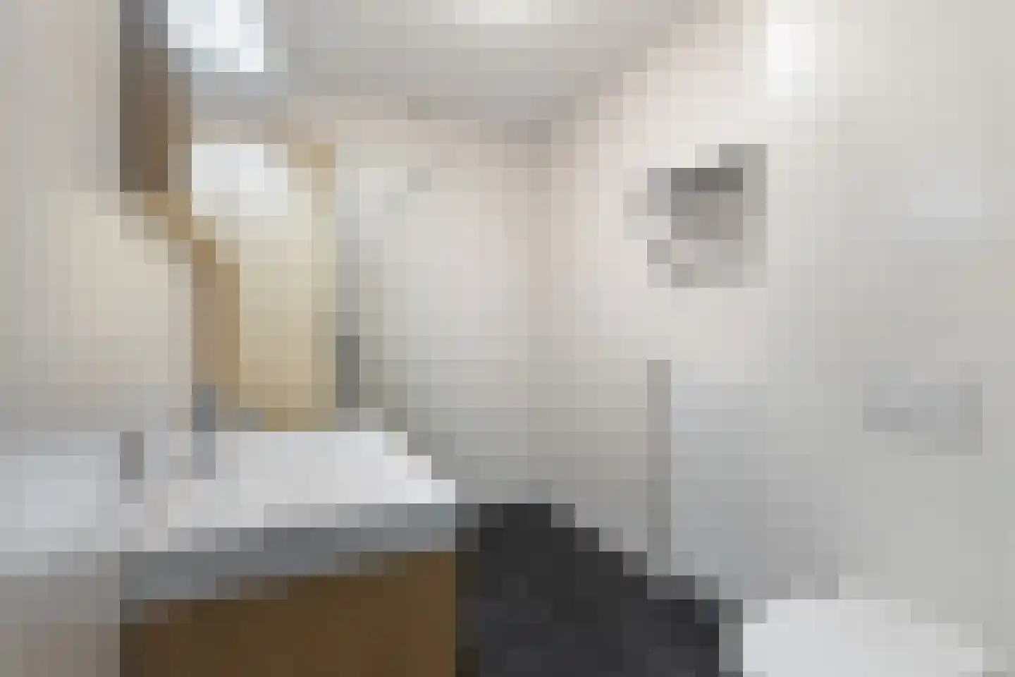 Etienne de Pinedaweg 6 Austerlitz thumbnail 30