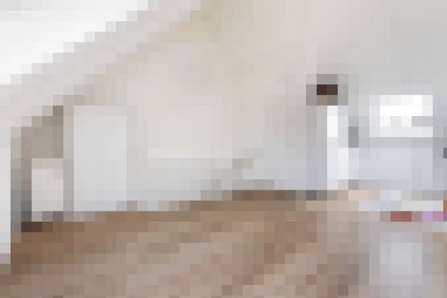 Etienne de Pinedaweg 6 Austerlitz thumbnail 34