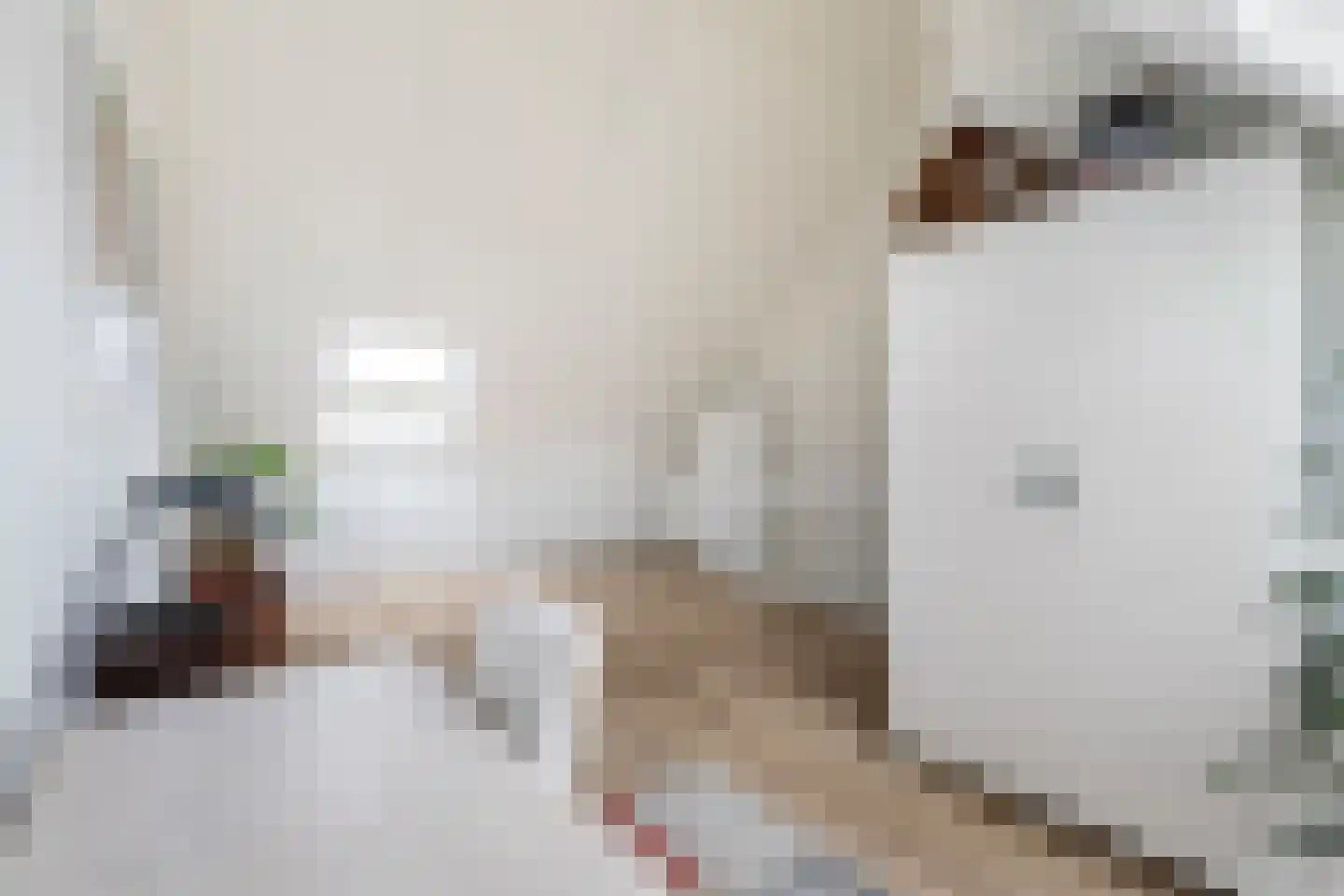Etienne de Pinedaweg 6 Austerlitz thumbnail 36
