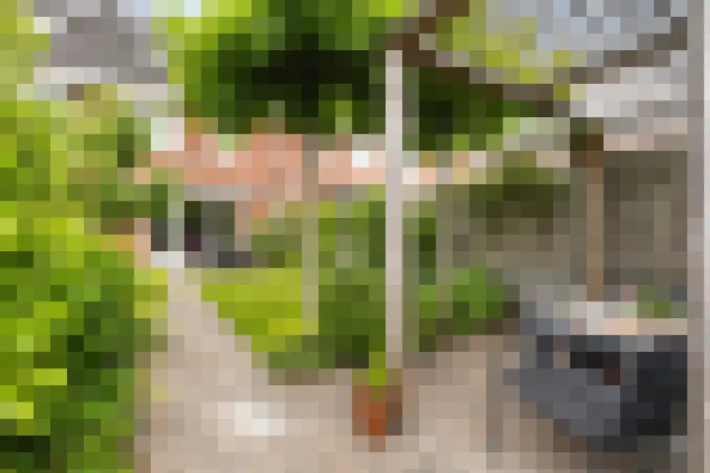 Etienne de Pinedaweg 6 Austerlitz thumbnail 37