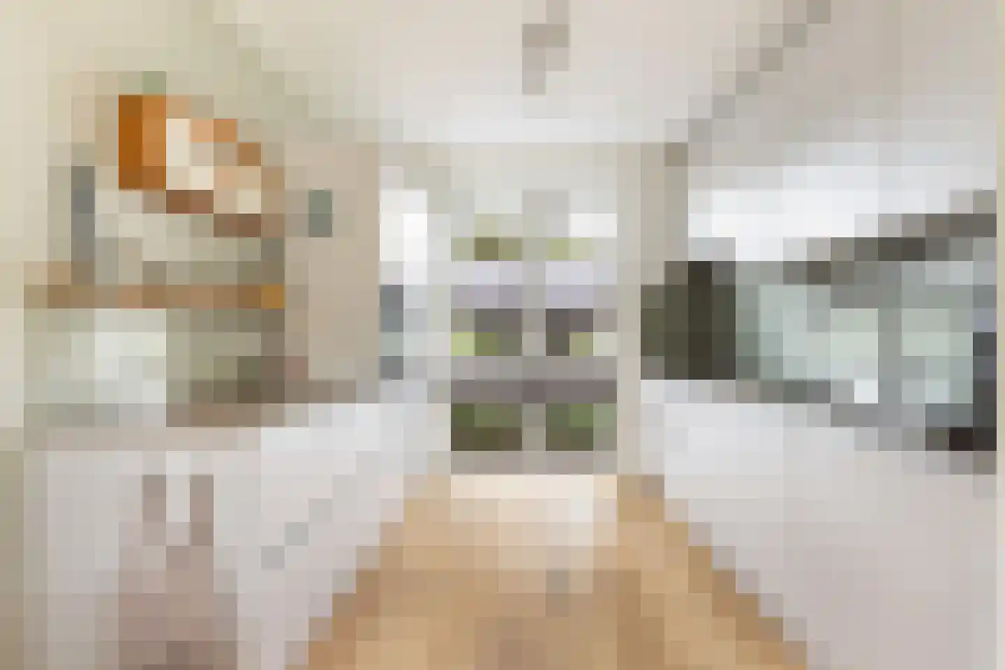 Etienne de Pinedaweg 6 Austerlitz thumbnail 4