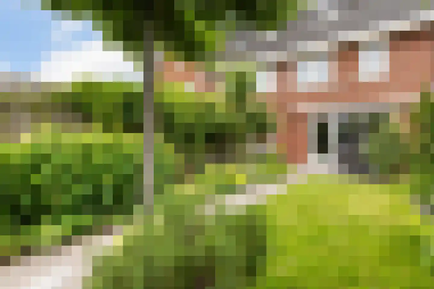 Etienne de Pinedaweg 6 Austerlitz thumbnail 40