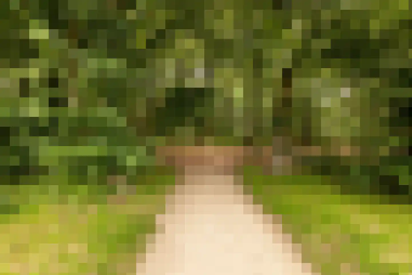 Etienne de Pinedaweg 6 Austerlitz thumbnail 56