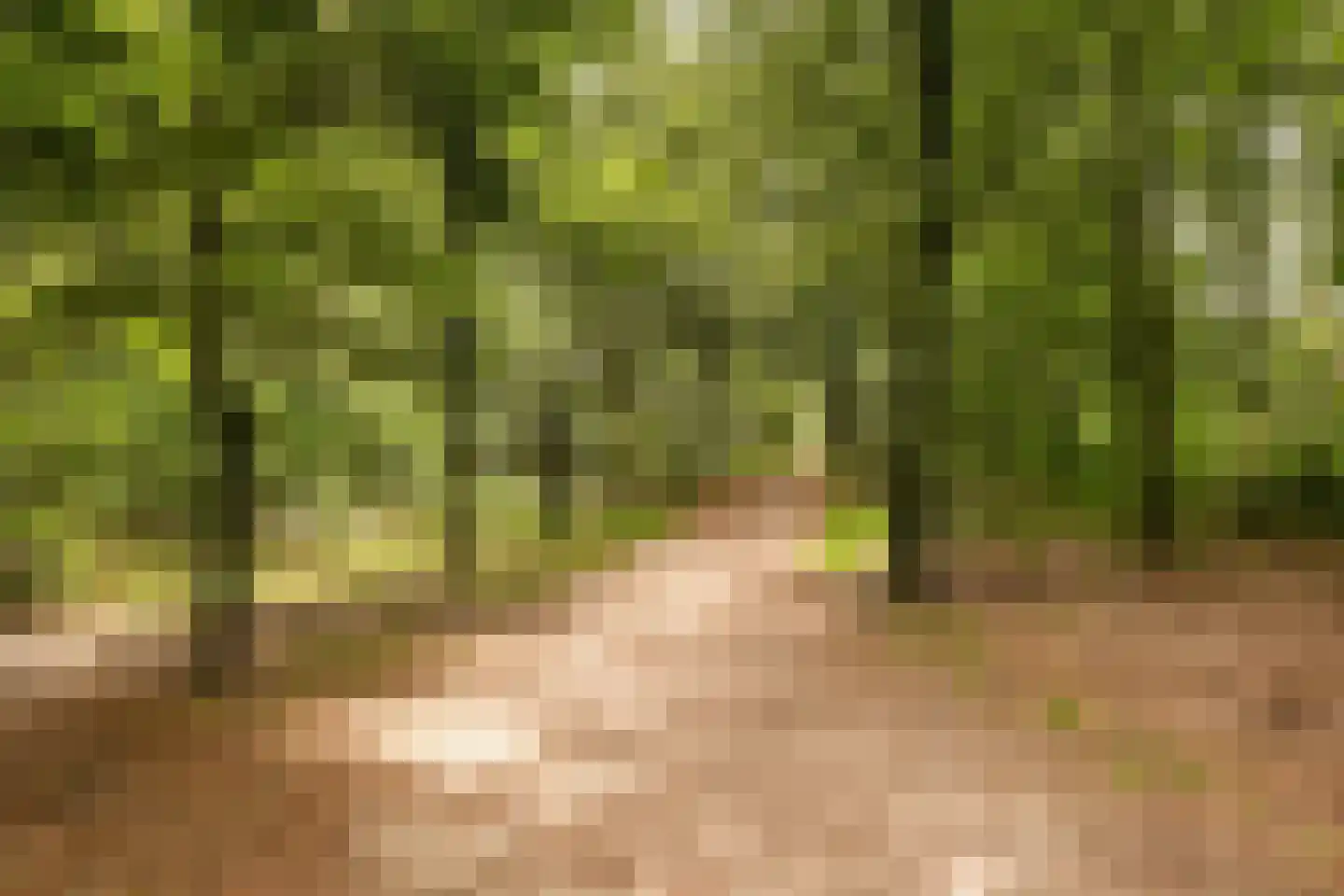 Etienne de Pinedaweg 6 Austerlitz thumbnail 59